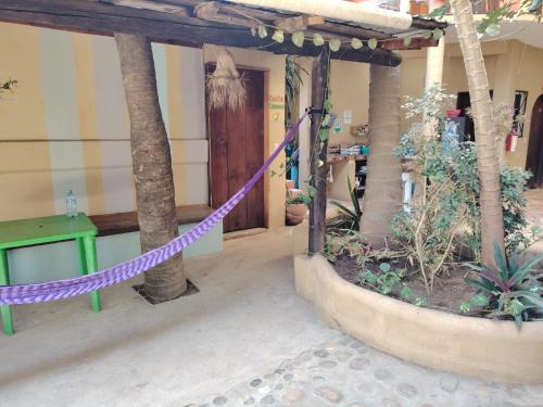 Instalaciones, Punta Mar in Puerto escondido Instalaciones, Punta Mar in Puerto escondido