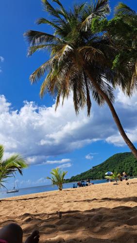 Residence Fleur de Lys 1 in Petit-Bourg Residence Fleur de Lys 1 in Petit-Bourg