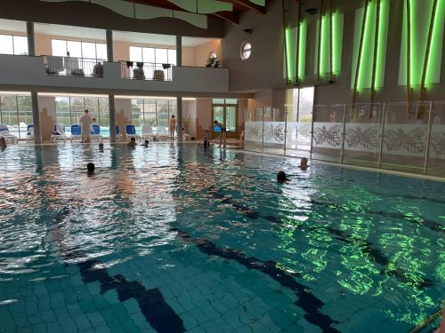 プール, Belima Apartman Zalakaros in ザラカロシュ プール, Belima Apartman Zalakaros in ザラカロシュ