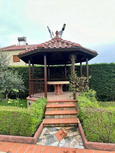 Jardim, VilaHasa in Divjake Jardim, VilaHasa in Divjake