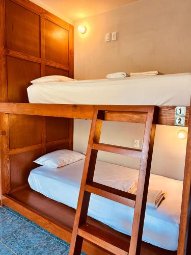 Freelance Hostel in Tulum Freelance Hostel in Tulum