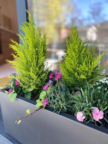 Entree, Weserwasser in Eupen Entree, Weserwasser in Eupen