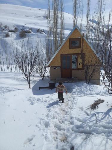 Mehron hotel in 沙赫里薩布茲 Mehron hotel in 沙赫里薩布茲