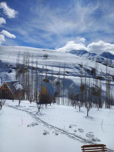 Mehron hotel in 沙赫里薩布茲 Mehron hotel in 沙赫里薩布茲