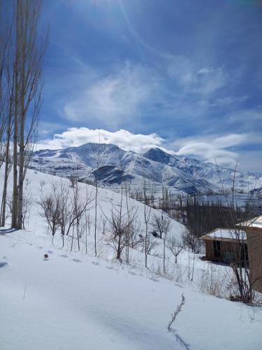 Mehron hotel in 沙赫里薩布茲 Mehron hotel in 沙赫里薩布茲