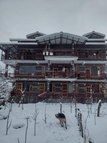 North Katmor homestay in Haripur North Katmor homestay in Haripur