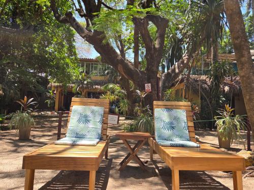 Garden, Hotel La Palapa in Tamarindo Garden, Hotel La Palapa in Tamarindo