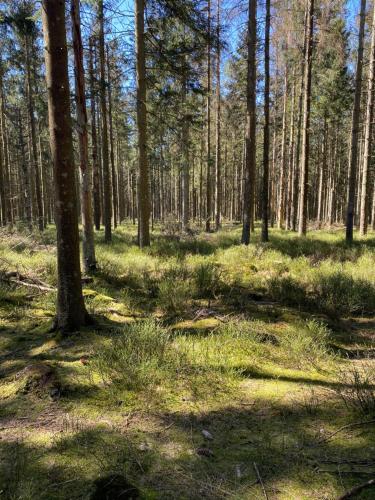 Omgeving, Weserwasser in Eupen Omgeving, Weserwasser in Eupen