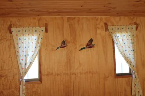 Beautiful Family Cabin, Lots of Nature in Villarrica Beautiful Family Cabin, Lots of Nature in Villarrica