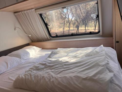 Golan on the Move in Eliad Golan on the Move in Eliad