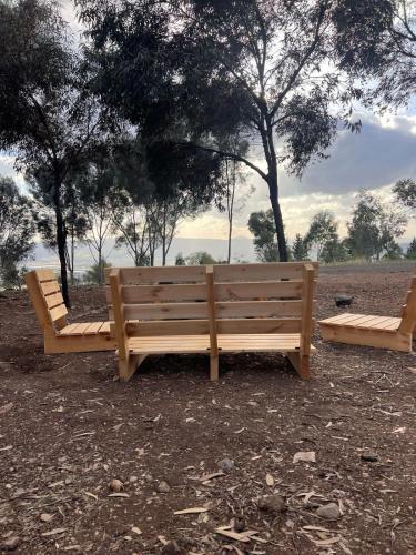 Golan on the Move in Eliad Golan on the Move in Eliad