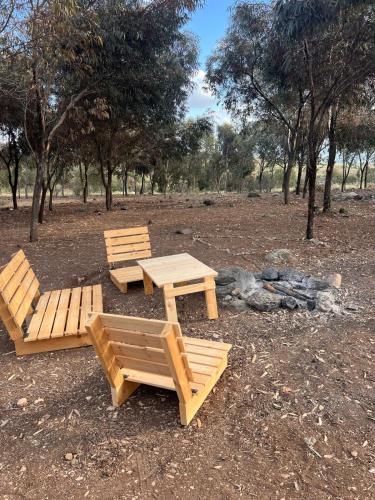 Golan on the Move in Eliad Golan on the Move in Eliad