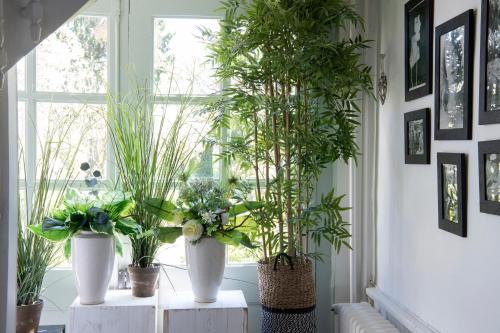 Facilities, Domaine de Saint-Saturnin in Aumale Facilities, Domaine de Saint-Saturnin in Aumale