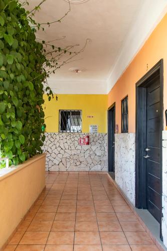 Apartahotel Guaraguao in סן פדרו דה מקוריס Apartahotel Guaraguao in סן פדרו דה מקוריס