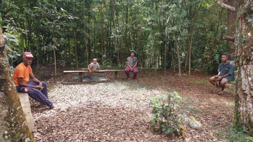 Garten, Ngut Tours and Lodge in Mount Hagen Garten, Ngut Tours and Lodge in Mount Hagen