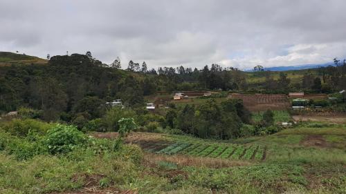 Aussicht, Ngut Tours and Lodge in Mount Hagen Aussicht, Ngut Tours and Lodge in Mount Hagen