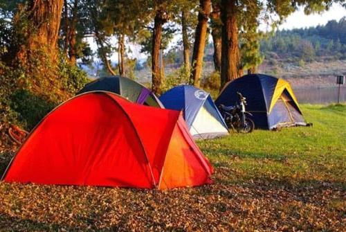 HikeWellness - outdoor camping & activities in Ajloun HikeWellness - outdoor camping & activities in Ajloun