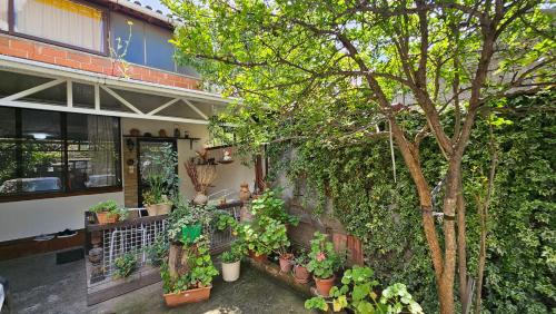 Kert, Angie's Shared Villa TAM in Ali Demi Kert, Angie's Shared Villa TAM in Ali Demi
