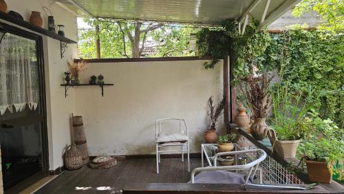 Kert, Angie's Shared Villa TAM in Ali Demi Kert, Angie's Shared Villa TAM in Ali Demi