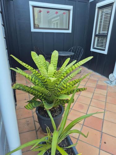 Raumati South Beach Studio in เปคาคาริกิ Raumati South Beach Studio in เปคาคาริกิ