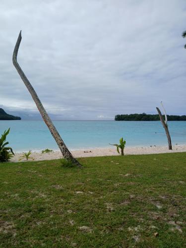 Serenity Treehouse 2 in Port Olry Serenity Treehouse 2 in Port Olry