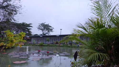 Garden, Check-In Resort in Chai Nat Garden, Check-In Resort in Chai Nat