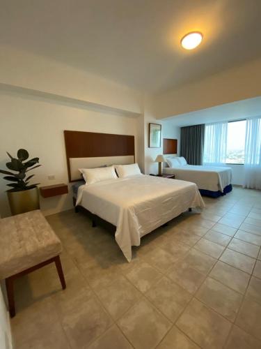 Hotel Colon Salinas suite in Salinas Hotel Colon Salinas suite in Salinas