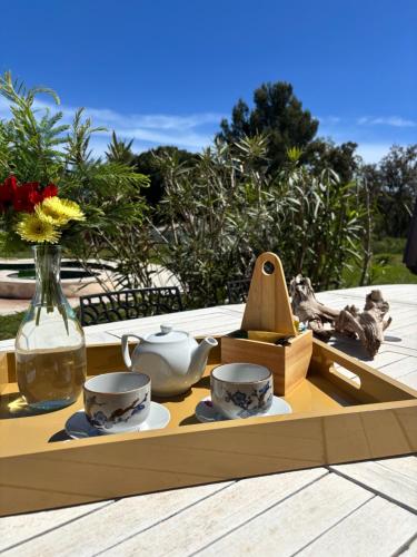 F&B, Le Pin d'Alep in 보르므 레 미모사 F&B, Le Pin d'Alep in 보르므 레 미모사