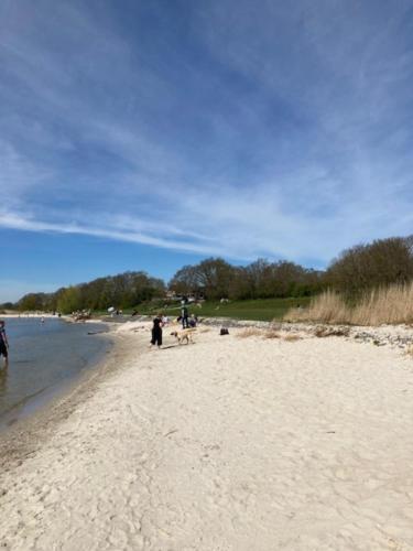 المنطقة المحيطة, Chalet met 2 slaapkamers op gezellige camping met zwembad nabij Ijsselmeer in Warns المنطقة المحيطة, Chalet met 2 slaapkamers op gezellige camping met zwembad nabij Ijsselmeer in Warns