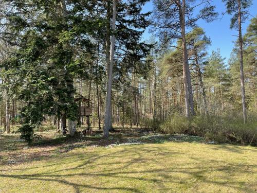 Garden, Avskilt nyrenoverat hus pa stor naturtomt med narheten till bade Visby och havet in Djupkvior Garden, Avskilt nyrenoverat hus pa stor naturtomt med narheten till bade Visby och havet in Djupkvior