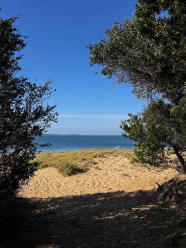 Beach, Island Shack 2BR Pet Friendly Coastal Home Near Beach in Cowes in Phillip Island Beach, Island Shack 2BR Pet Friendly Coastal Home Near Beach in Cowes in Phillip Island