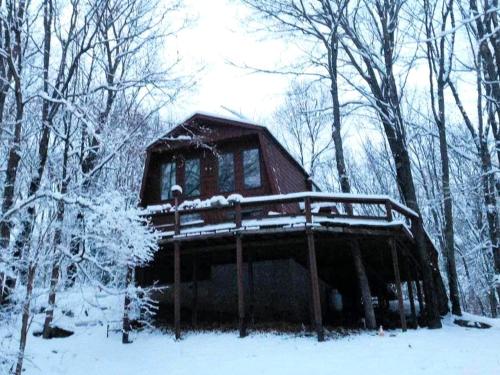 Peaceful Tree House Nestled Away in Hudson Valley, New York in 셰넌도어 Peaceful Tree House Nestled Away in Hudson Valley, New York in 셰넌도어