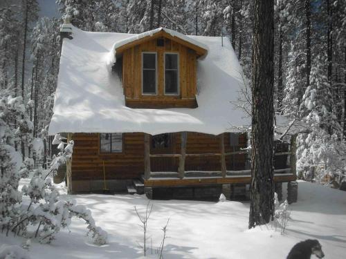 Rustic Cabin Rental near Tonto National Forest in Payson, Arizona in Kohls Ranch Rustic Cabin Rental near Tonto National Forest in Payson, Arizona in Kohls Ranch