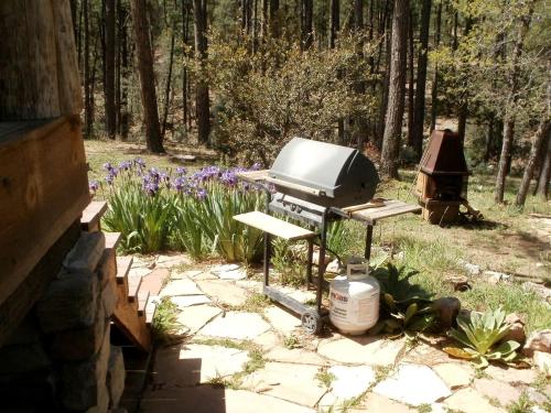 Rustic Cabin Rental near Tonto National Forest in Payson, Arizona in Kohls Ranch Rustic Cabin Rental near Tonto National Forest in Payson, Arizona in Kohls Ranch