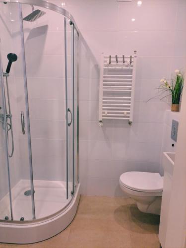 Zuhanyzó, Apartament Olimpijski in Szamotuly Zuhanyzó, Apartament Olimpijski in Szamotuly