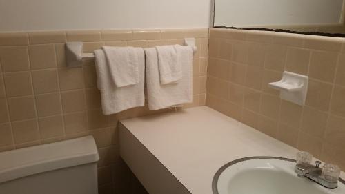 在meiguo.com看到的卡罗来纳塔尔希汽车旅馆的介绍图片