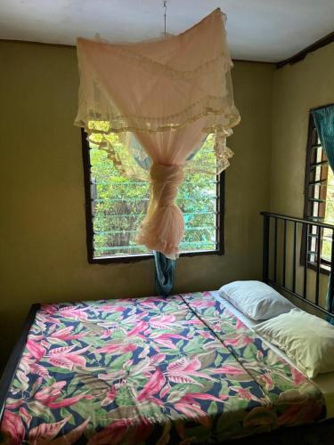 Jolame Homestay Experience in Pulau Wayasewa Jolame Homestay Experience in Pulau Wayasewa