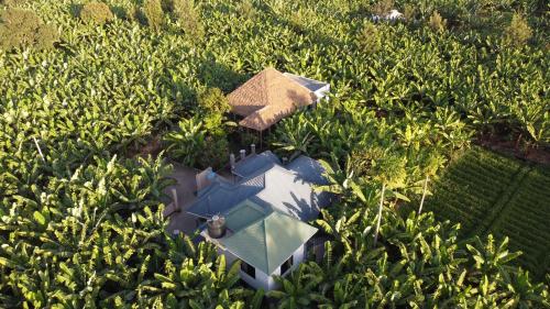 Garden, Jangwani River View Suits in Mto Wa Mbu Garden, Jangwani River View Suits in Mto Wa Mbu