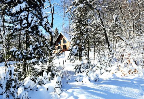 周邊環境, Chalets Évasion avec spa et foyer au bois (Chalets Evasion avec spa et foyer au bois) in 安特雷克斯(QC) 周邊環境, Chalets Évasion avec spa et foyer au bois (Chalets Evasion avec spa et foyer au bois) in 安特雷克斯(QC)