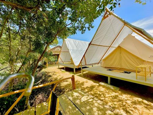 SAY Camp Forest in Can Gio SAY Camp Forest in Can Gio