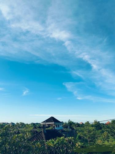 View, Hotel Arda Bali in Negara View, Hotel Arda Bali in Negara