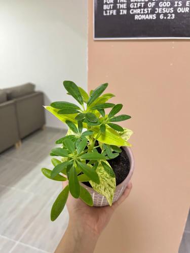 A környék, Apartamento Familiar con ubicación estratégica (Apartamento Familiar con ubicacion estrategica) in Ibague A környék, Apartamento Familiar con ubicación estratégica (Apartamento Familiar con ubicacion estrategica) in Ibague