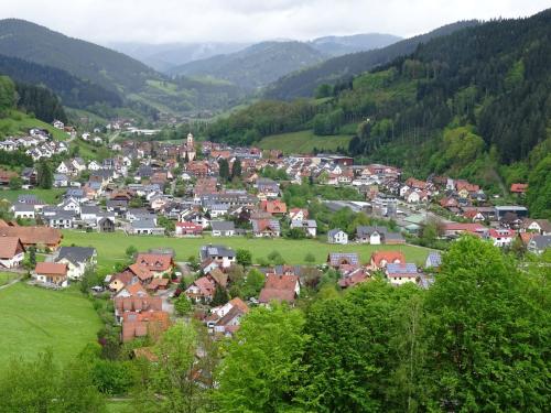 المنظر الخارجي, Ferienwohnung Mühlengrün (Ferienwohnung Muhlengrun) in Oberwolfach المنظر الخارجي, Ferienwohnung Mühlengrün (Ferienwohnung Muhlengrun) in Oberwolfach