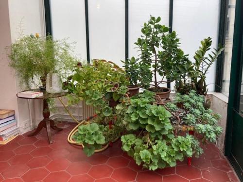 Palvelut, Large flat in Montmartre with terrace in Montmartre Palvelut, Large flat in Montmartre with terrace in Montmartre