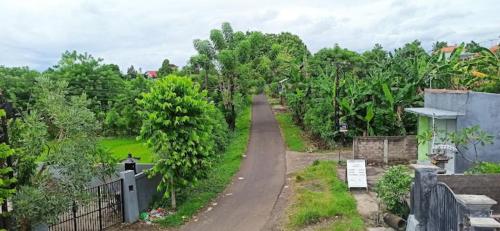 View, Hotel Arda Bali in Negara View, Hotel Arda Bali in Negara