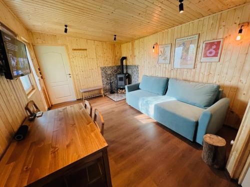 Közös társalgó / TV, Tinyhouse Snagov Lake in Ciofliceni Közös társalgó / TV, Tinyhouse Snagov Lake in Ciofliceni