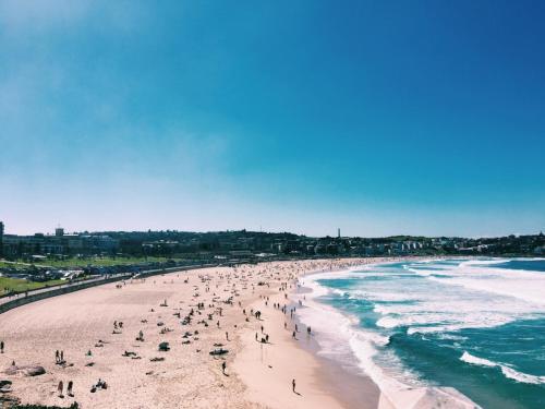 Beachside Living in Modern 2 bedroom Apartment in North Bondi Beachside Living in Modern 2 bedroom Apartment in North Bondi