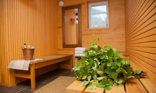 Sauna, Hotel Inari in Inari Sauna, Hotel Inari in Inari