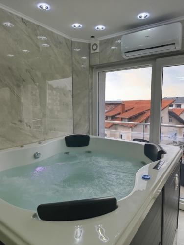 مرافق, Villa Vlasta in Soko Banja مرافق, Villa Vlasta in Soko Banja