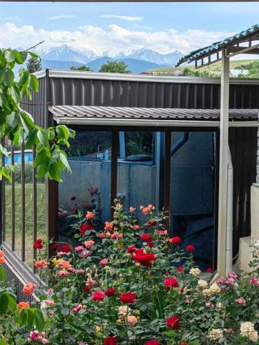 Панорама in كوك جار Панорама in كوك جار